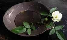 春雨在心灵上空飞翔