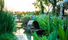 在感恩中邂逅风景