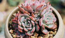 有一种美丽叫团结