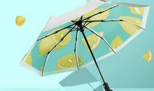 雨伞下那一方晴天
