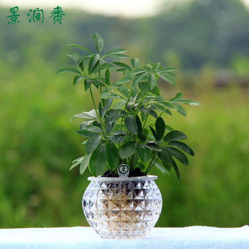 季节真的很有趣吗？
