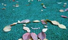 嘲讽滋润了我的心田