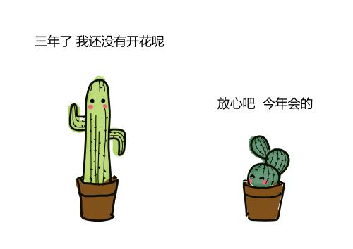 仙人掌不会鼓掌