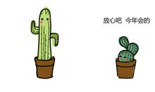 不会鼓掌的仙人掌