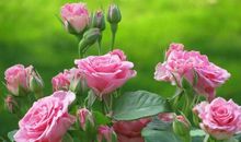 让生命充满热情