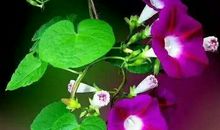 激发出的斗志何以震撼人生