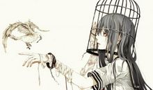 我是一只笼中鸟