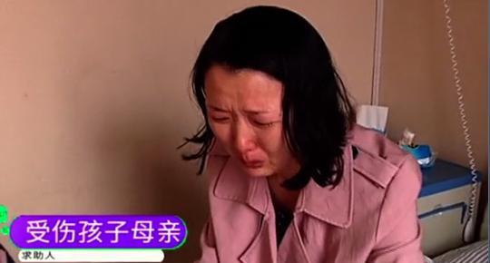 我的老师就像一位母亲