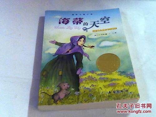 在阅读“Hayi的天空”之后