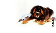 藏獒渡魂读后感