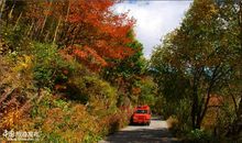 美啊，绚丽多彩的秋天