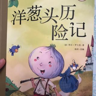 关于“洋葱头历险记”的思考