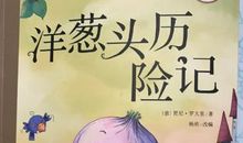 读《洋葱头历险记》有感