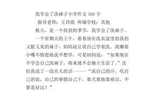 第一次洗袜子作文300字