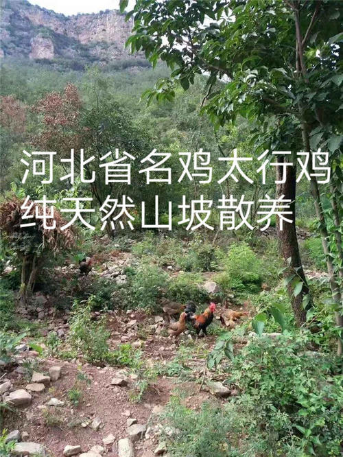 年香