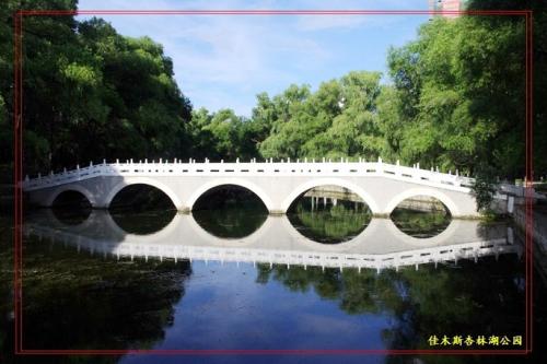 美丽的杏湖公园
