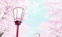 藏着盒子里的精彩