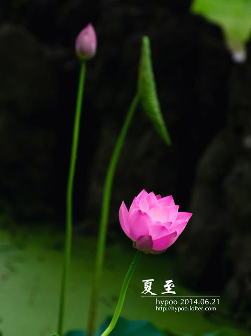 夏天，让我知道挫折