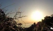 寻找温暖的臂弯