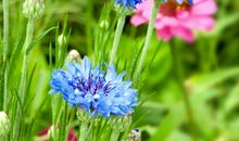 我和阳光有个约定