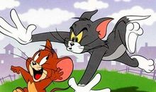 三只老鼠和一只猫