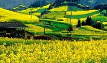 春天·踏青·观色