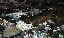 与春天一起走过的日子