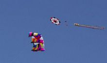 阳春三月，放飞风筝