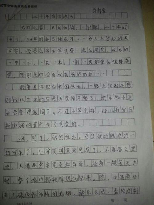 20年后回国
