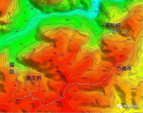 感恩节的时间使痛苦无痛