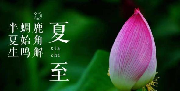 美丽的遭遇