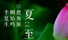 美丽的相遇相知