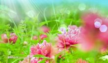 幸福的那种感觉