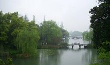 多情最是那细雨