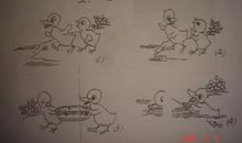 救小鸡看图写话二年级