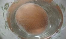 醋泡鸡蛋观察日记