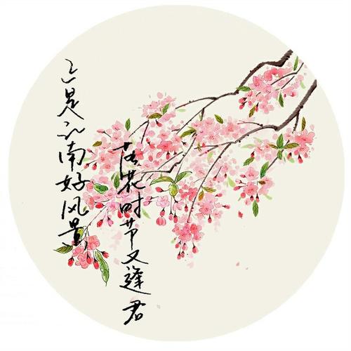 落花的季节再次相遇