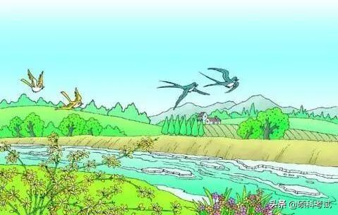 查看图片并写春天