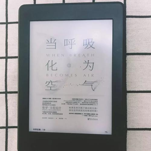 从一本书到点燃