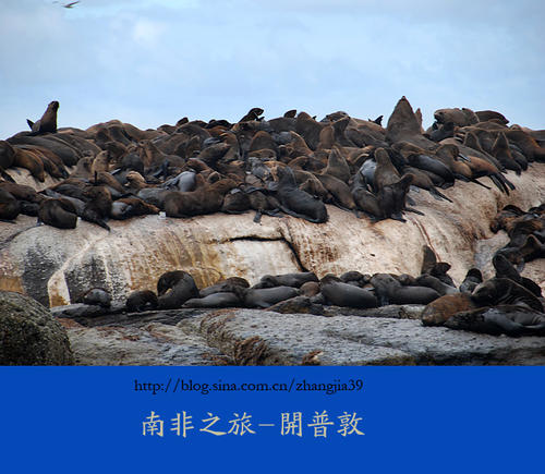 南非巡回赛