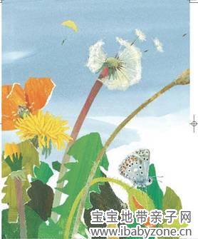 我是种子