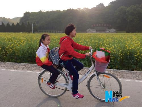 阅读路面