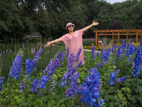 找个生命的芬芳