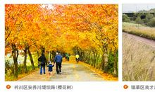 我漫步在小路上