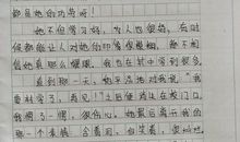 阅读的魅力作文