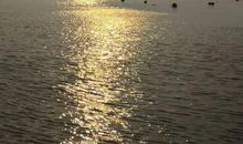 宽广的大海深处