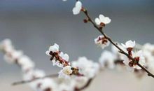 缕缕春风，无限温暖