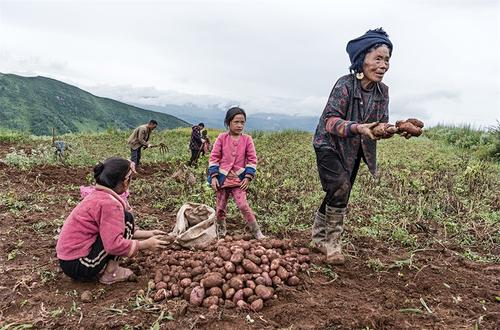抓住你的祖母