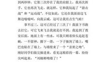 上网课发生的趣事作文