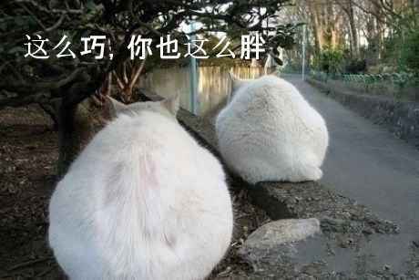 真是巧合